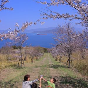 佳作 「桜にかんぱぁ～い！」 多田　敬三