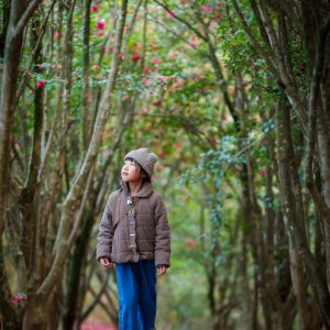 入選 「山茶花に囲まれて」 kohei0926