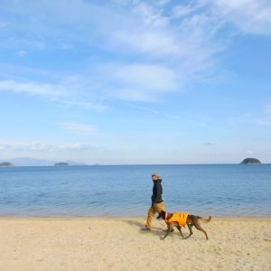 佳作 「愛犬と瀬戸内海散歩」 nonkuriyu