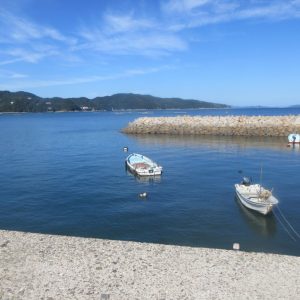 入選 「小田湾たんけん」 岡　拓海