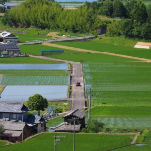 優秀賞 「田植えの頃」 大西　弘行