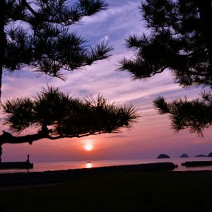 入選 「津田の海」 平井　正光