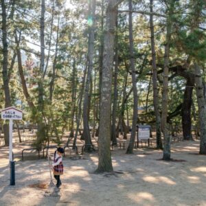 優秀賞 「小さな掃除人」 上杉　孝徹